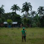 Colombian Amazon forest