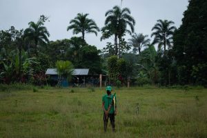 Colombian Amazon forest
