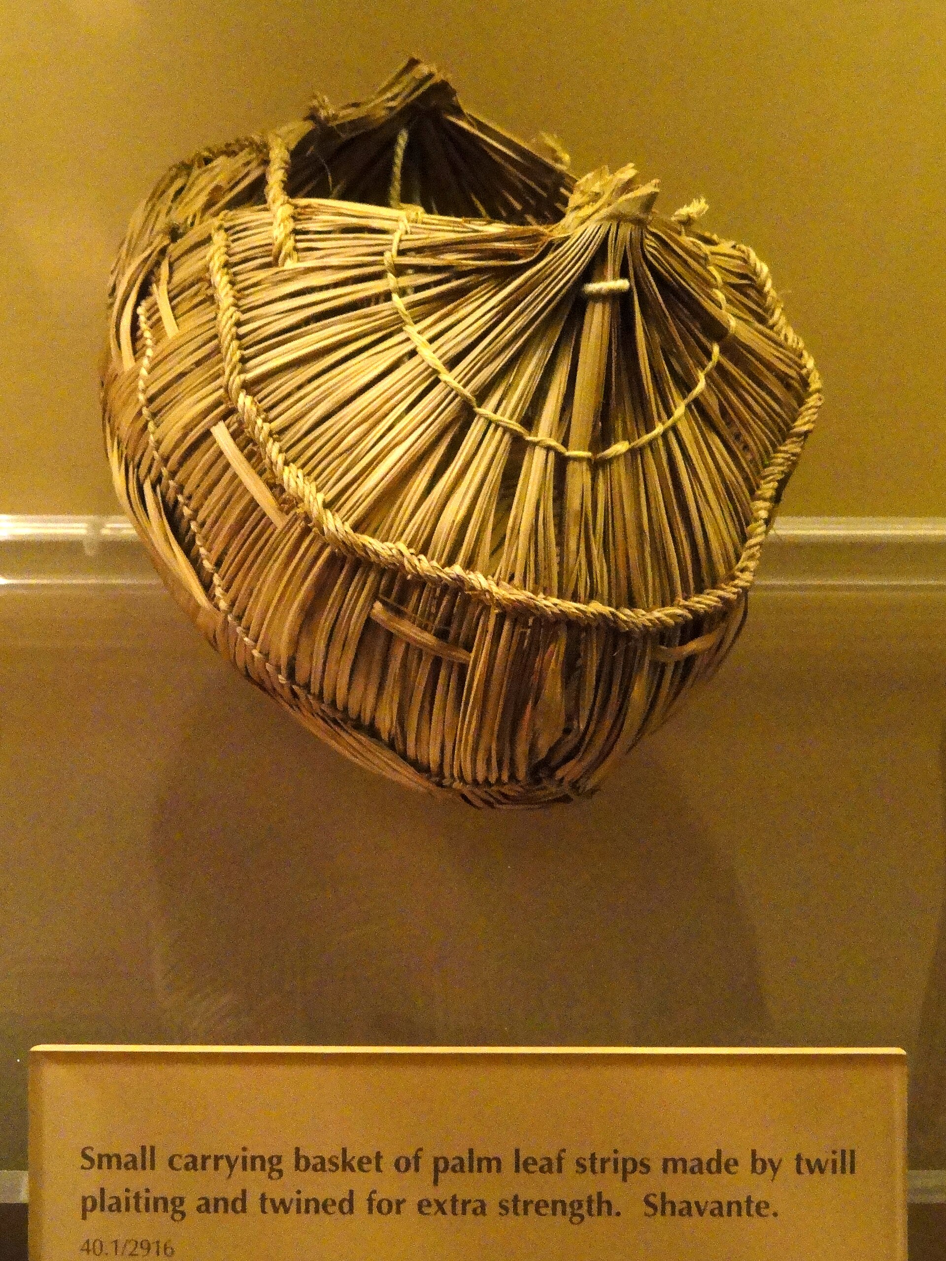 A plaited palm-leaf basket of the Xavante.