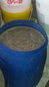 Umqombothi beer