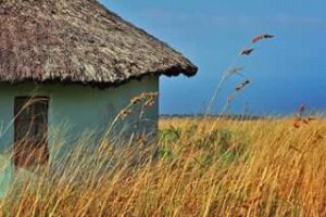 A Xhosa hut