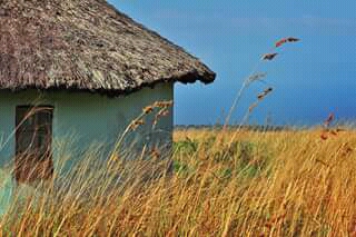 A Xhosa hut