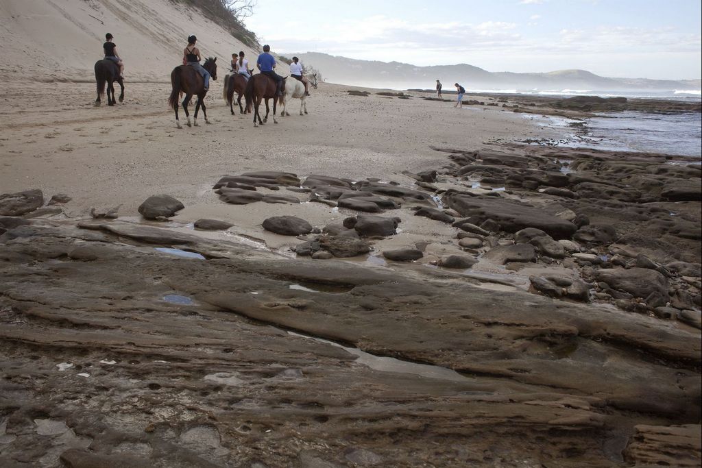 Eastern Cape coast
