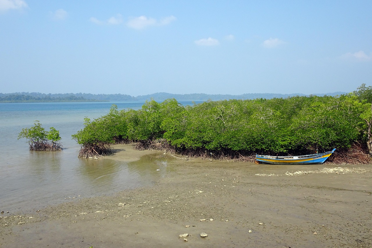 Sea Coast