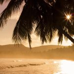 Beach Sea