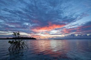 Shallow Sea Sunrise