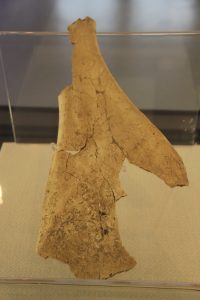 The archaeological site of Yinxu at Anyang, last capital of the Shang dynasty.