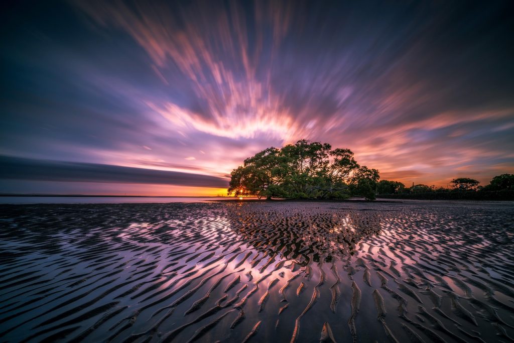 Beach coast
