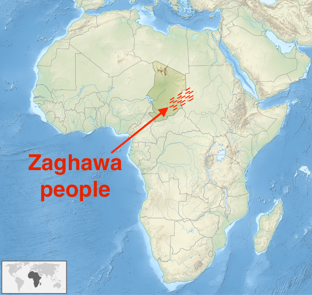 A diagram of Zaghawa social divisions; the people speak the Beri language.