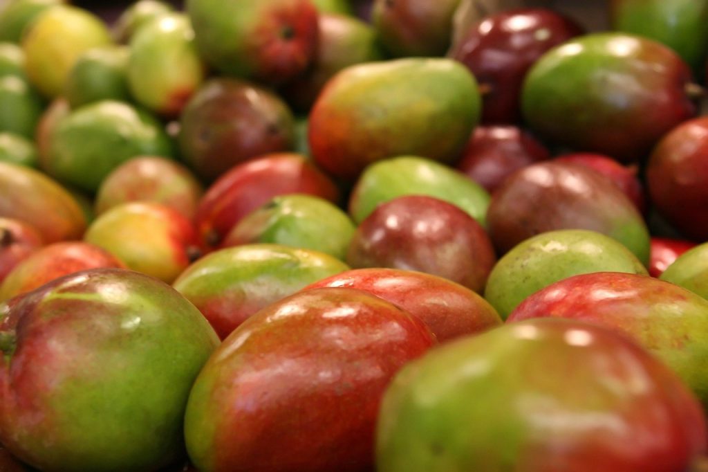 Mango fruit