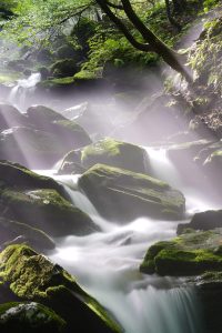 Jungle waterfall