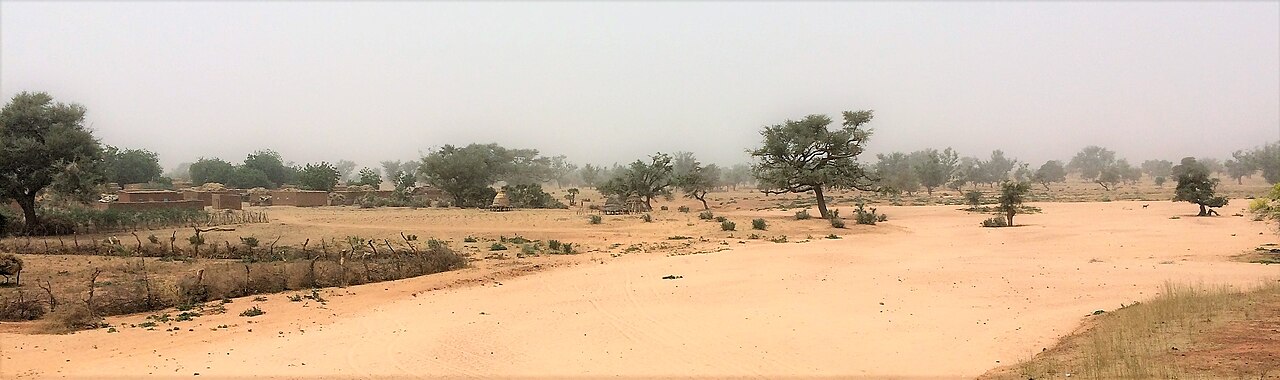 A view of a village in western Niger, the setting of Zarma life.
