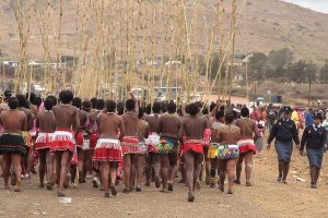 Zulu reed dance
