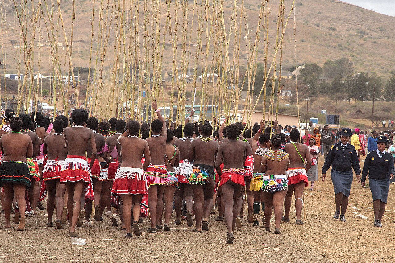 Zulu reed dance