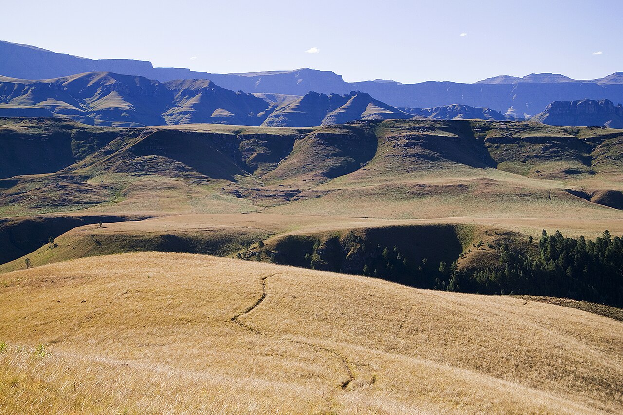 The Zulu country