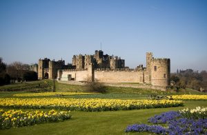 Stone figures stand guard along Alnwick's battlements, a distinctive touch on the medieval walls