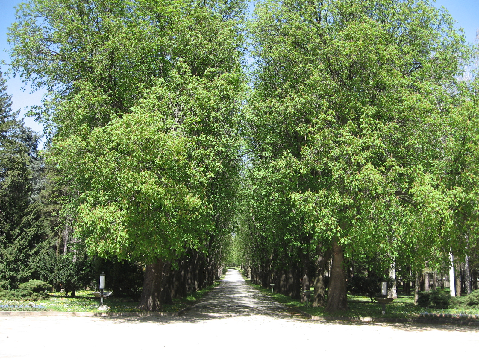 The park of the Royal Compound