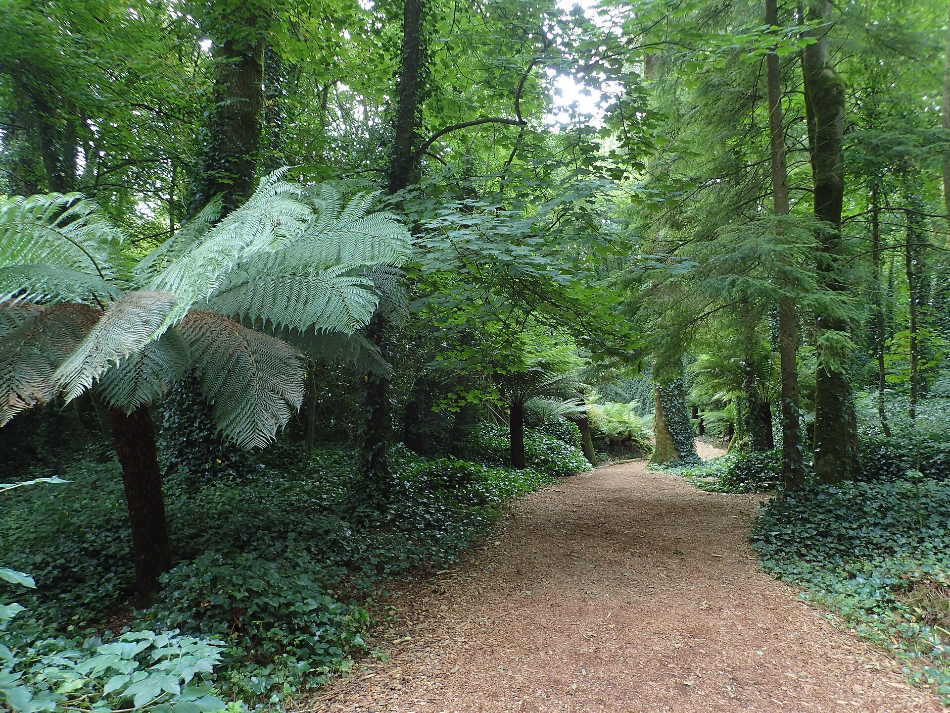 The lush Fern Garden, part of the varied and romantic grounds of the estate