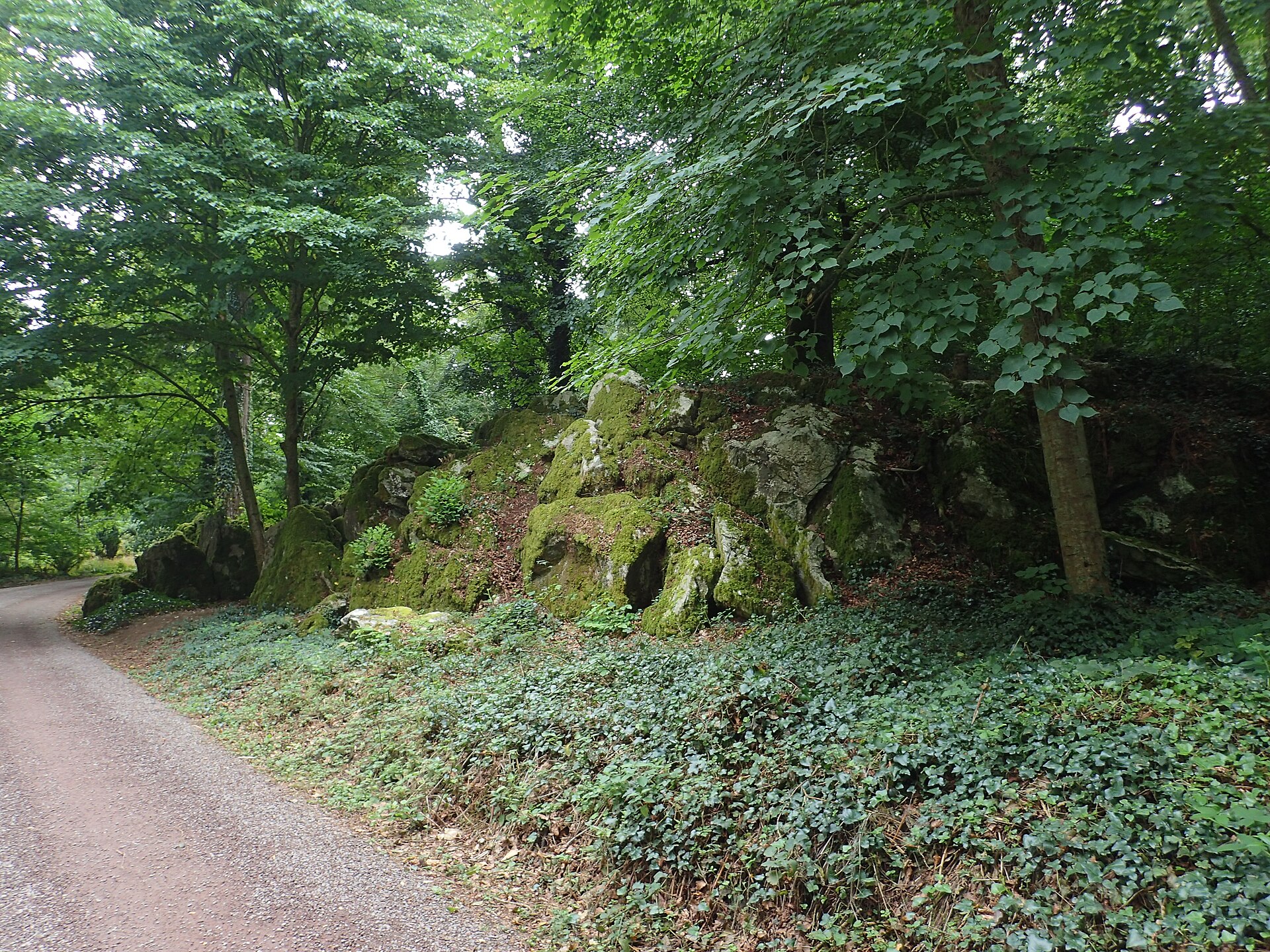 Rock Close, an atmospheric garden of ancient stones with links to Irish legend