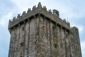 The castle and its estate, held for centuries by the MacCarthy lords of Munster