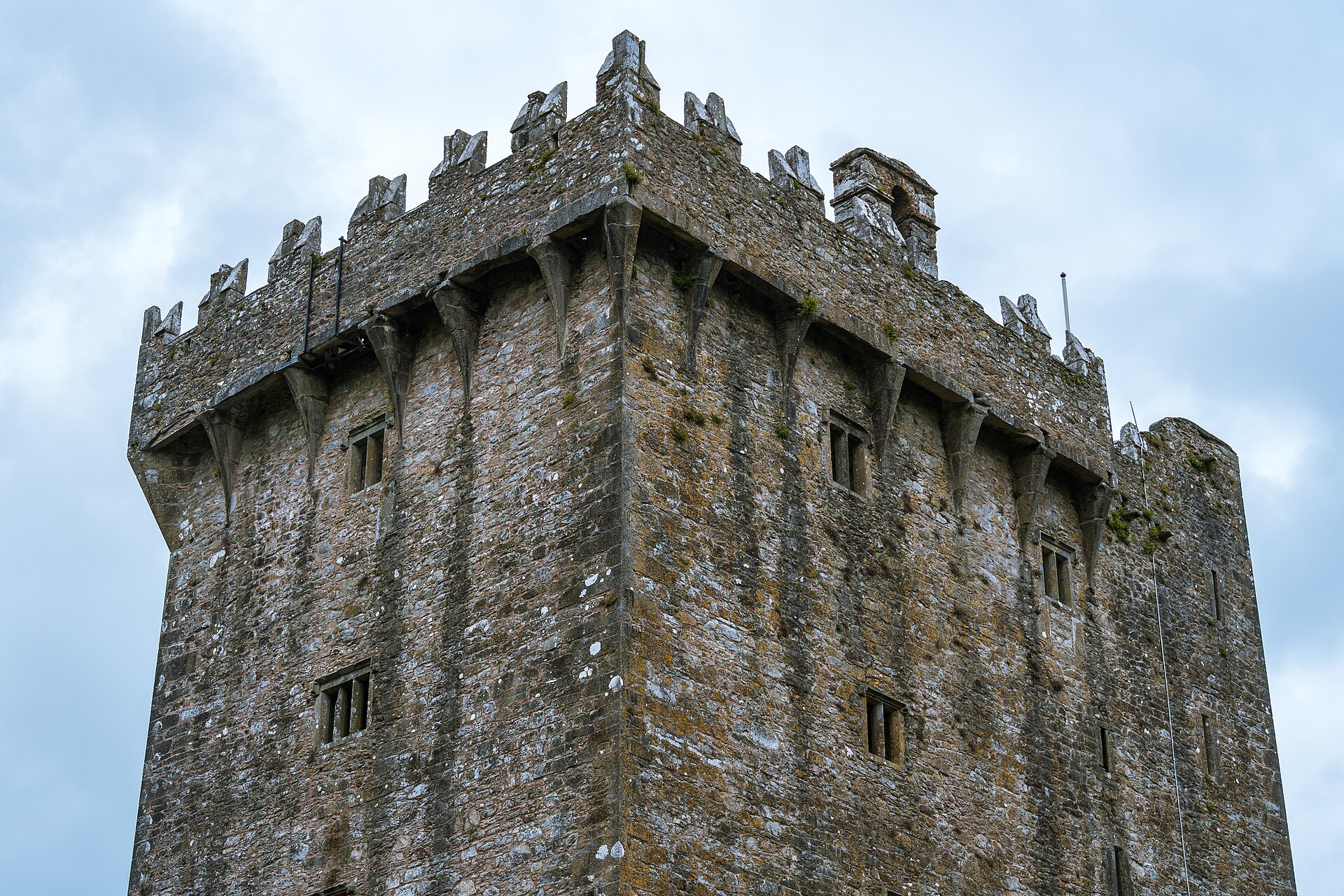 The castle and its estate, held for centuries by the MacCarthy lords of Munster