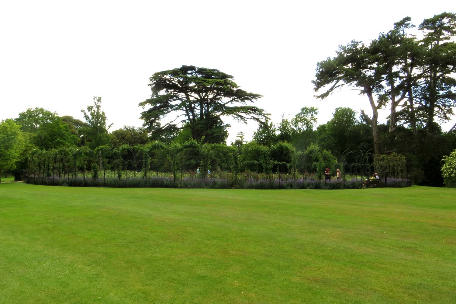 The rose garden at Blenheim Palace