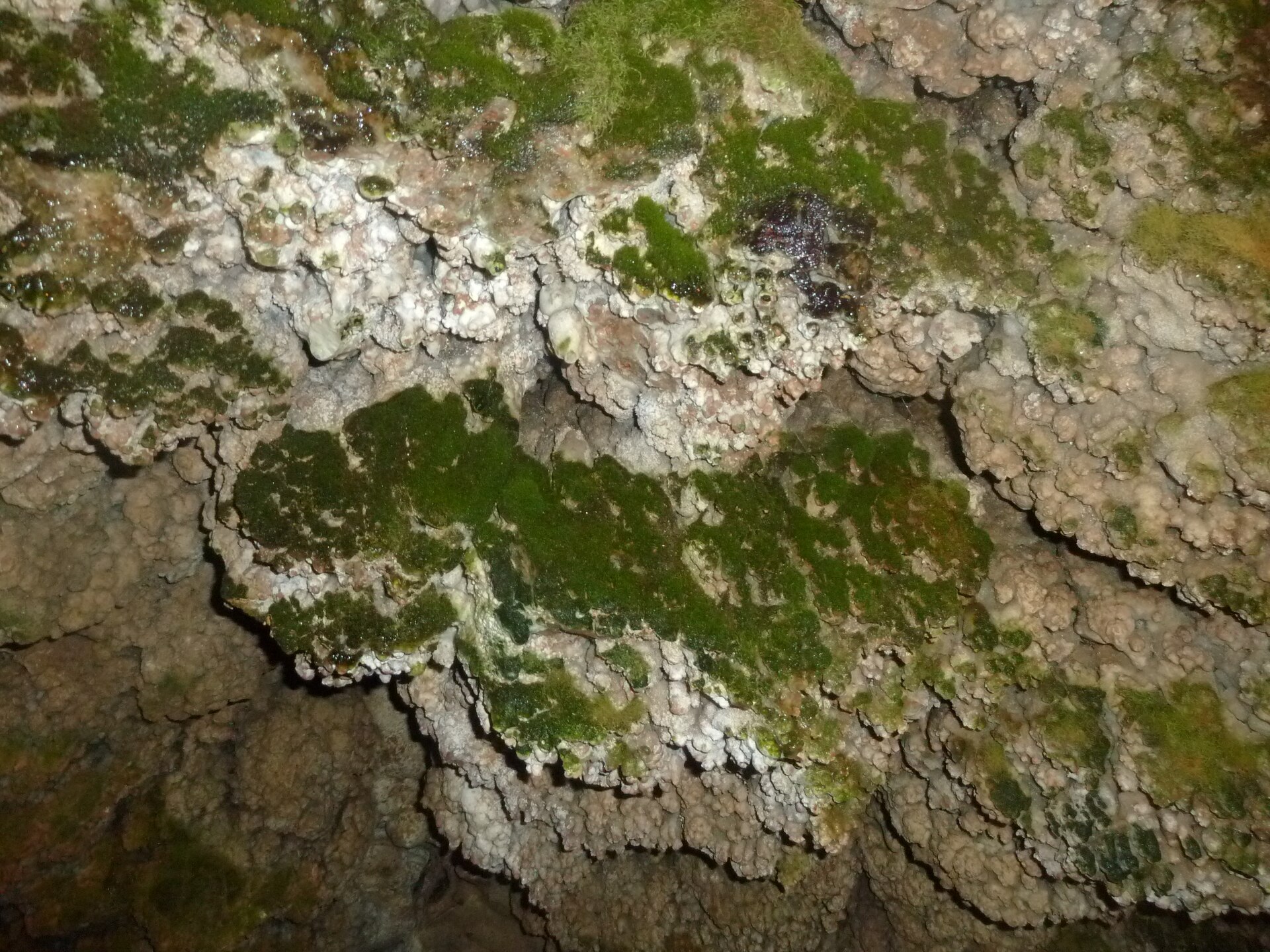 A natural travertine cave lies hidden in the rock directly beneath the castle.