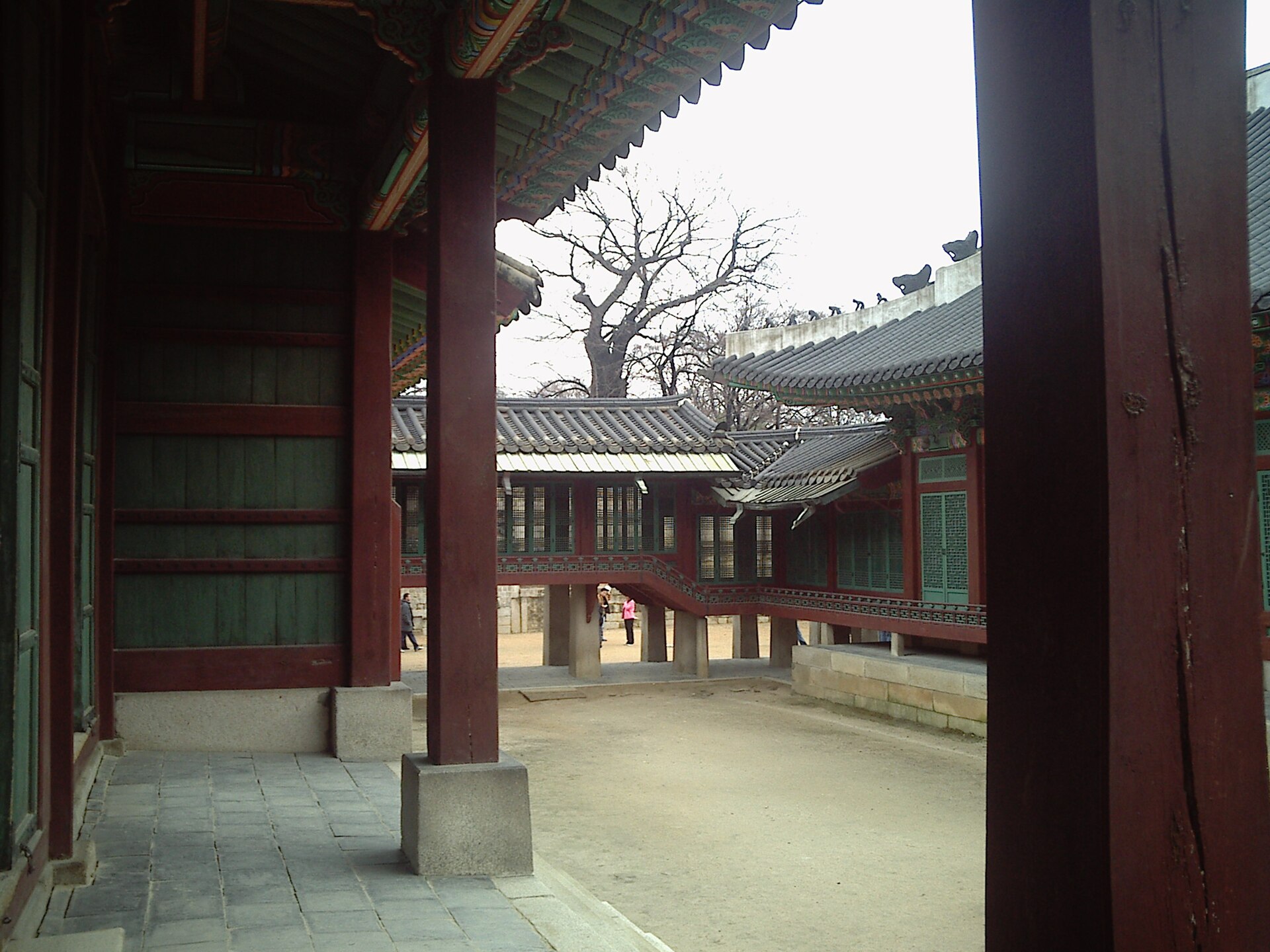 A view of Changdeokgung, the most beloved of Korea's royal palaces.