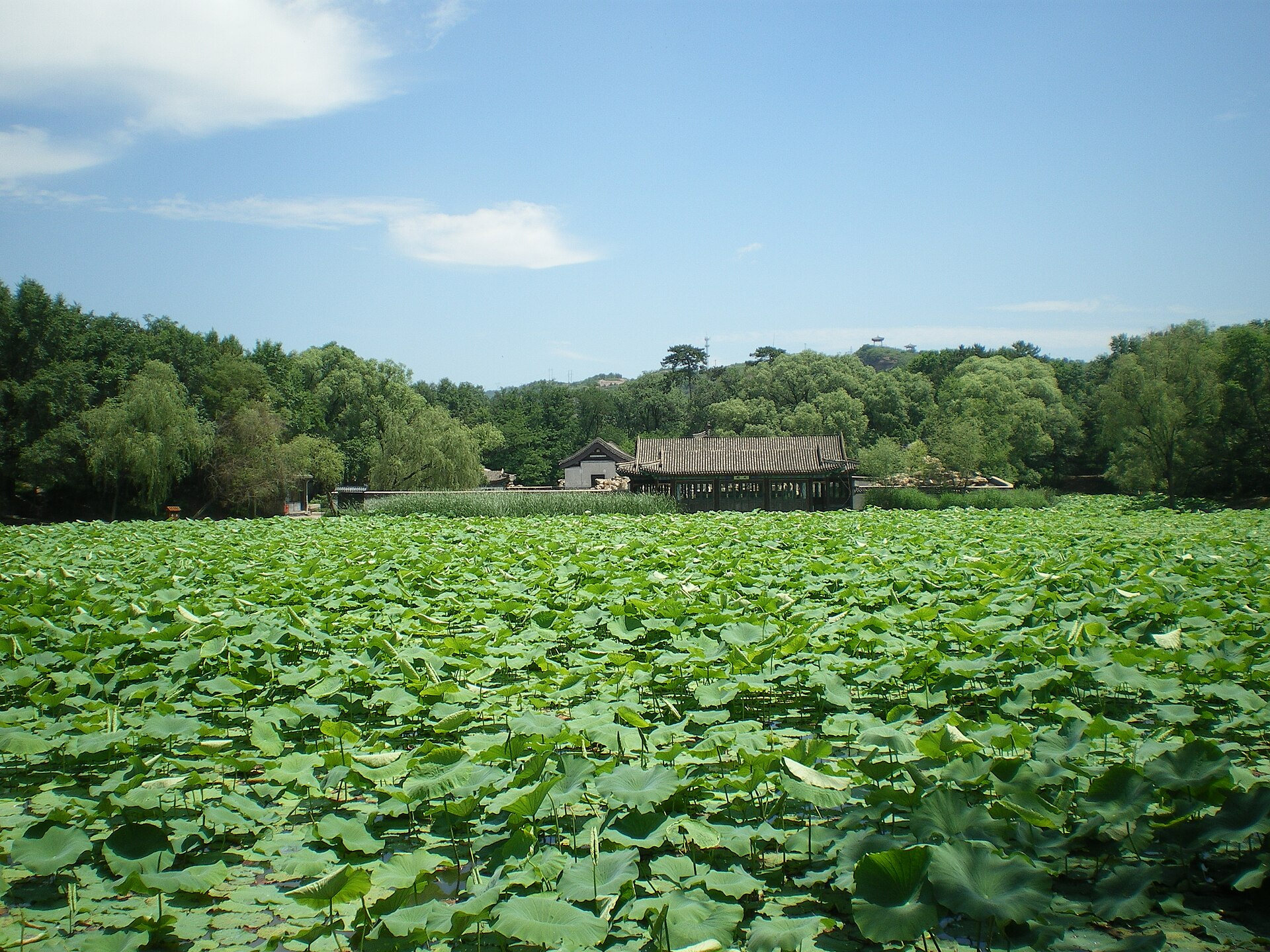 The designed landscape of the mountain resort