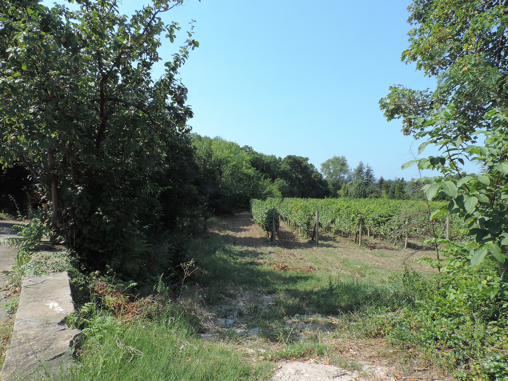 The beautiful gardens of Euxinograd