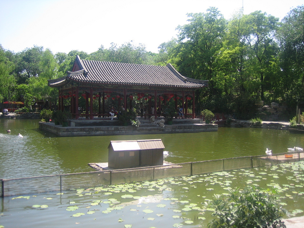 Decorated buildings within the complex