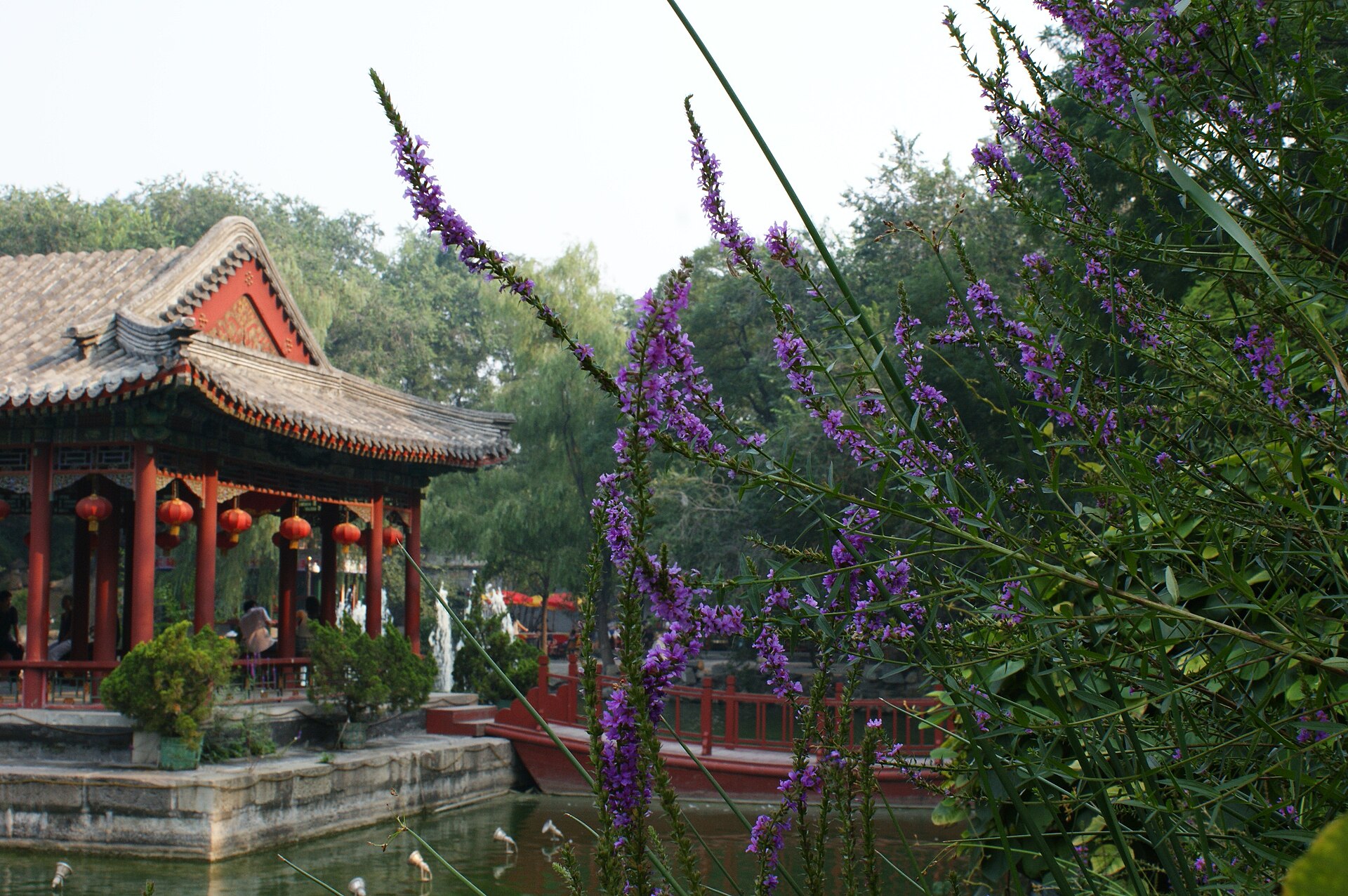 Rockeries and pavilions in the garden