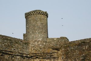 A tower of Harlech, its walls rising sheer from the living rock