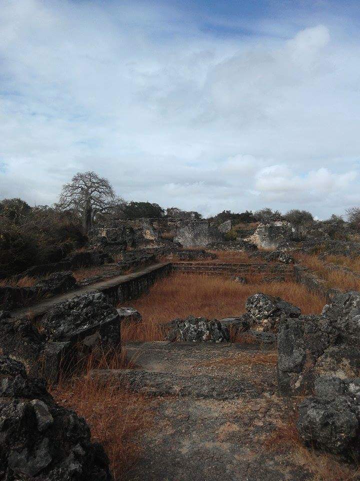 The coral-stone ruins of Kilwa Kisiwani rising from the island grass