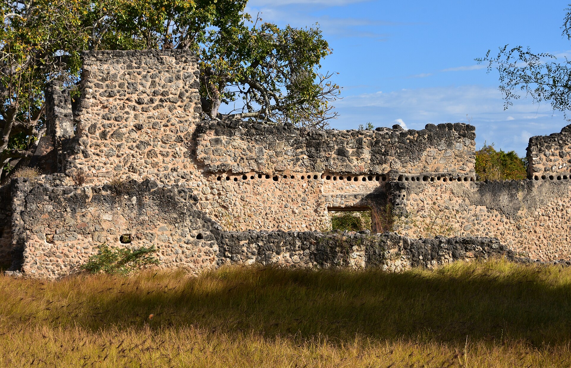 Standing walls of the Makutani palace complex