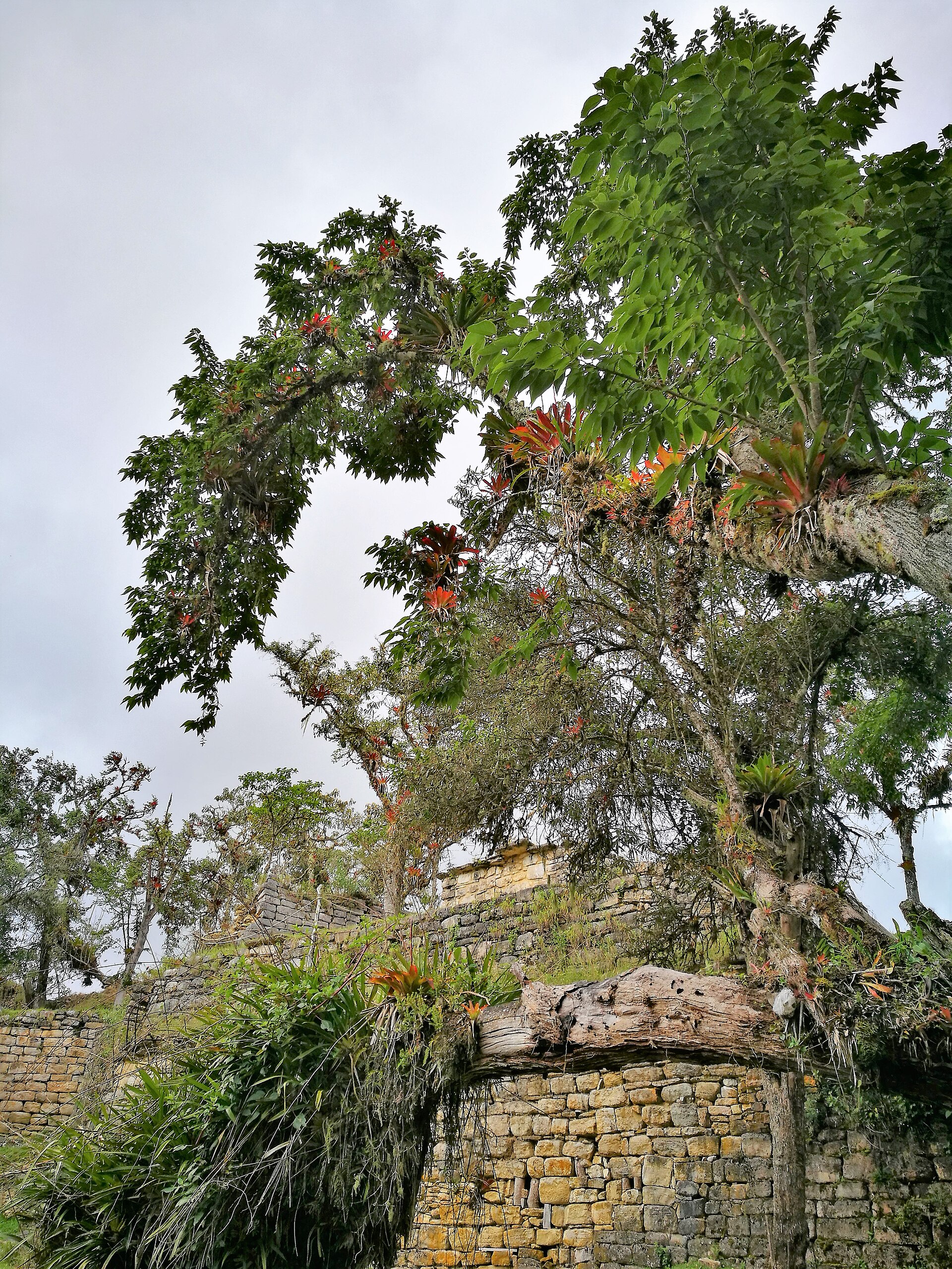 The moss-covered ruins of Kuélap