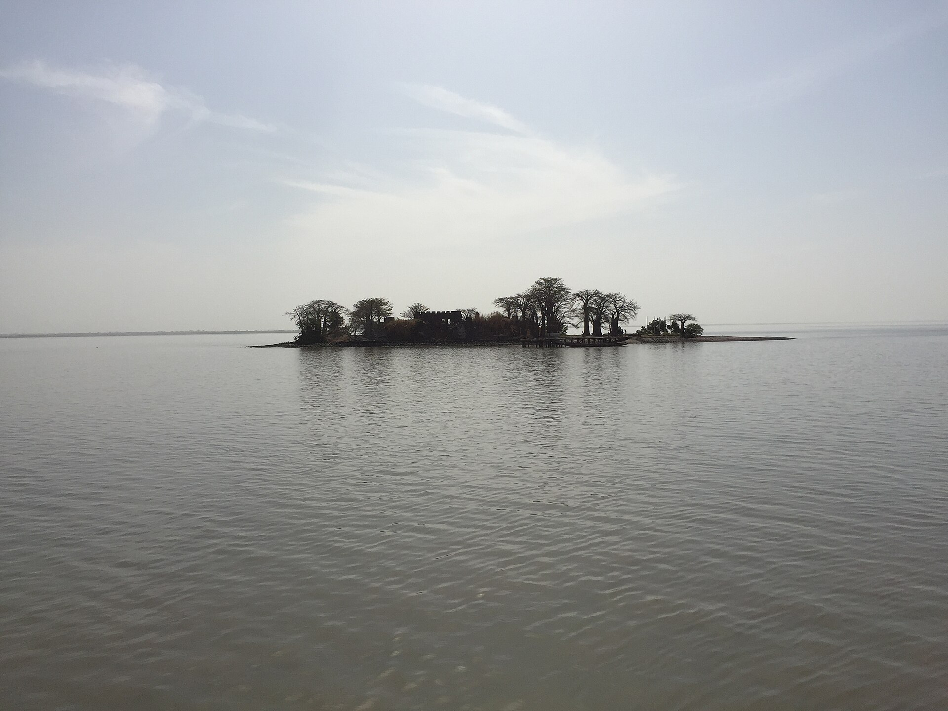 A baobab and ruins on Kunta Kinteh Island