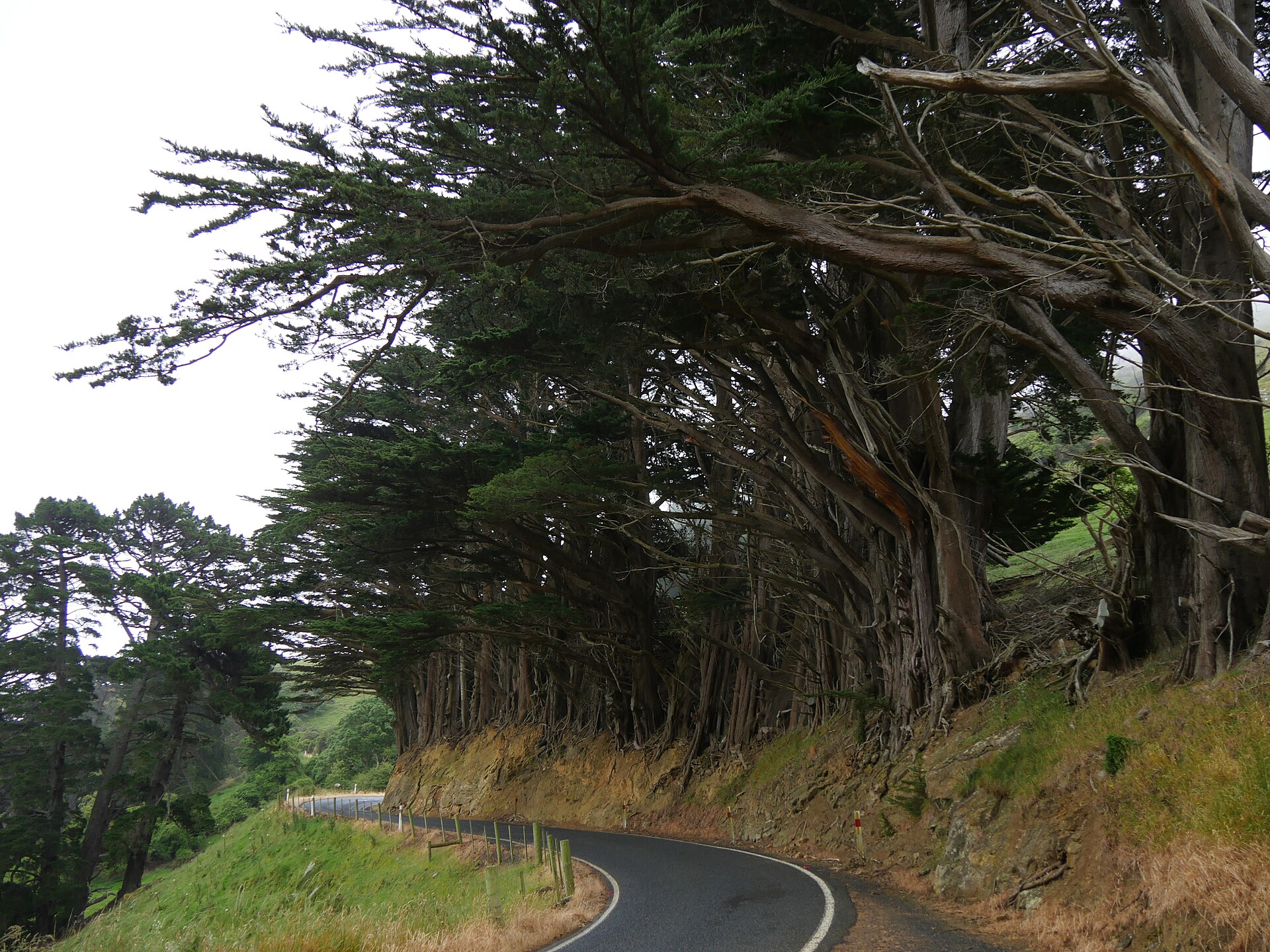 Larnach Castle above the Otago Peninsula