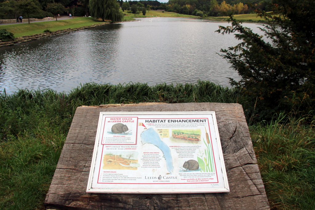 Leeds Castle rising from its lake in Kent, often called the loveliest castle in the world
