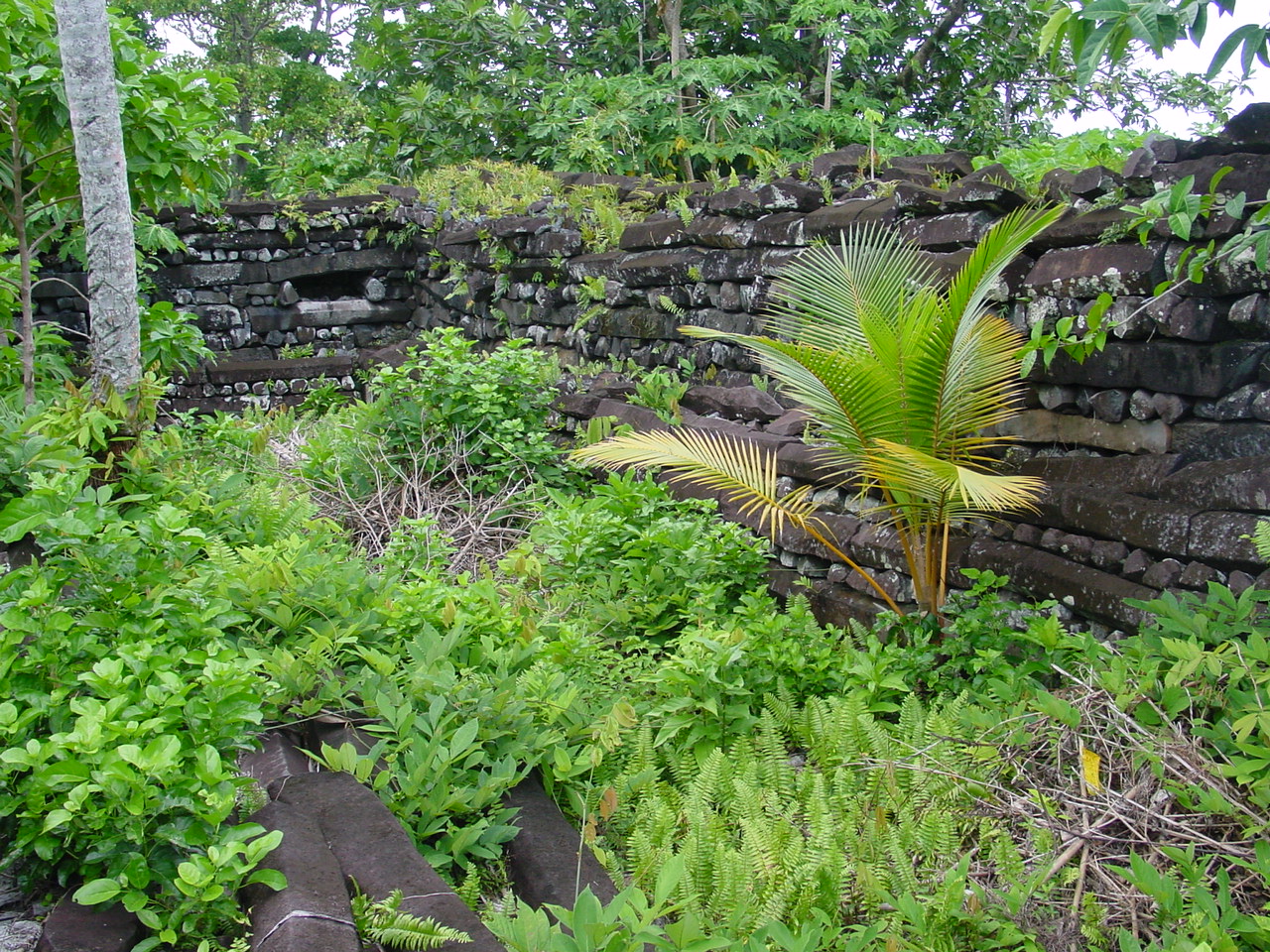 The ancient walls of the water-city of Nan Madol