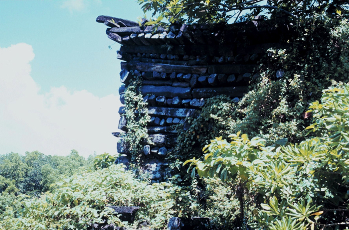 The ruins of Nan Madol amid the jungle