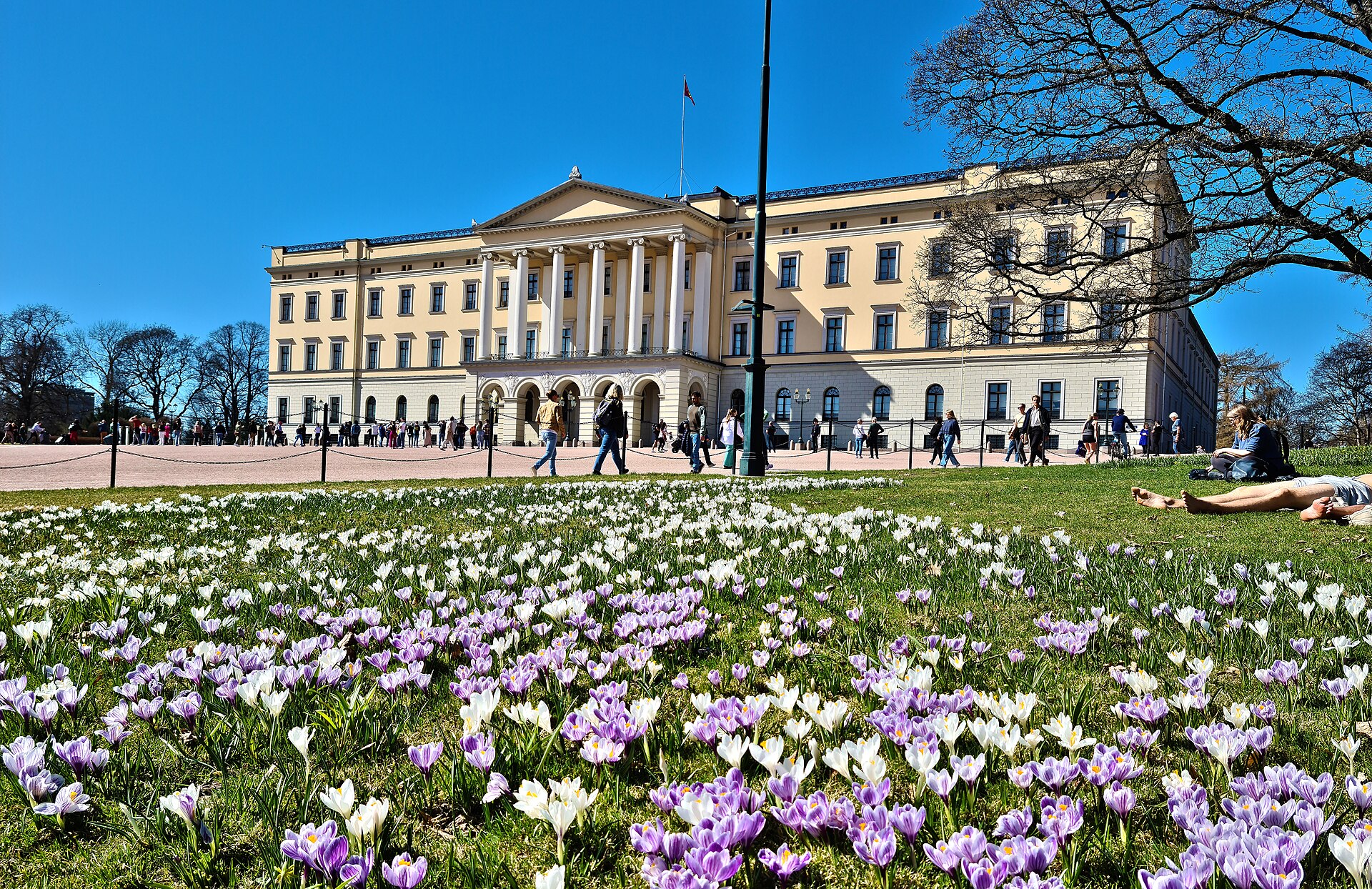The palace framed by the trees of Slottsparken