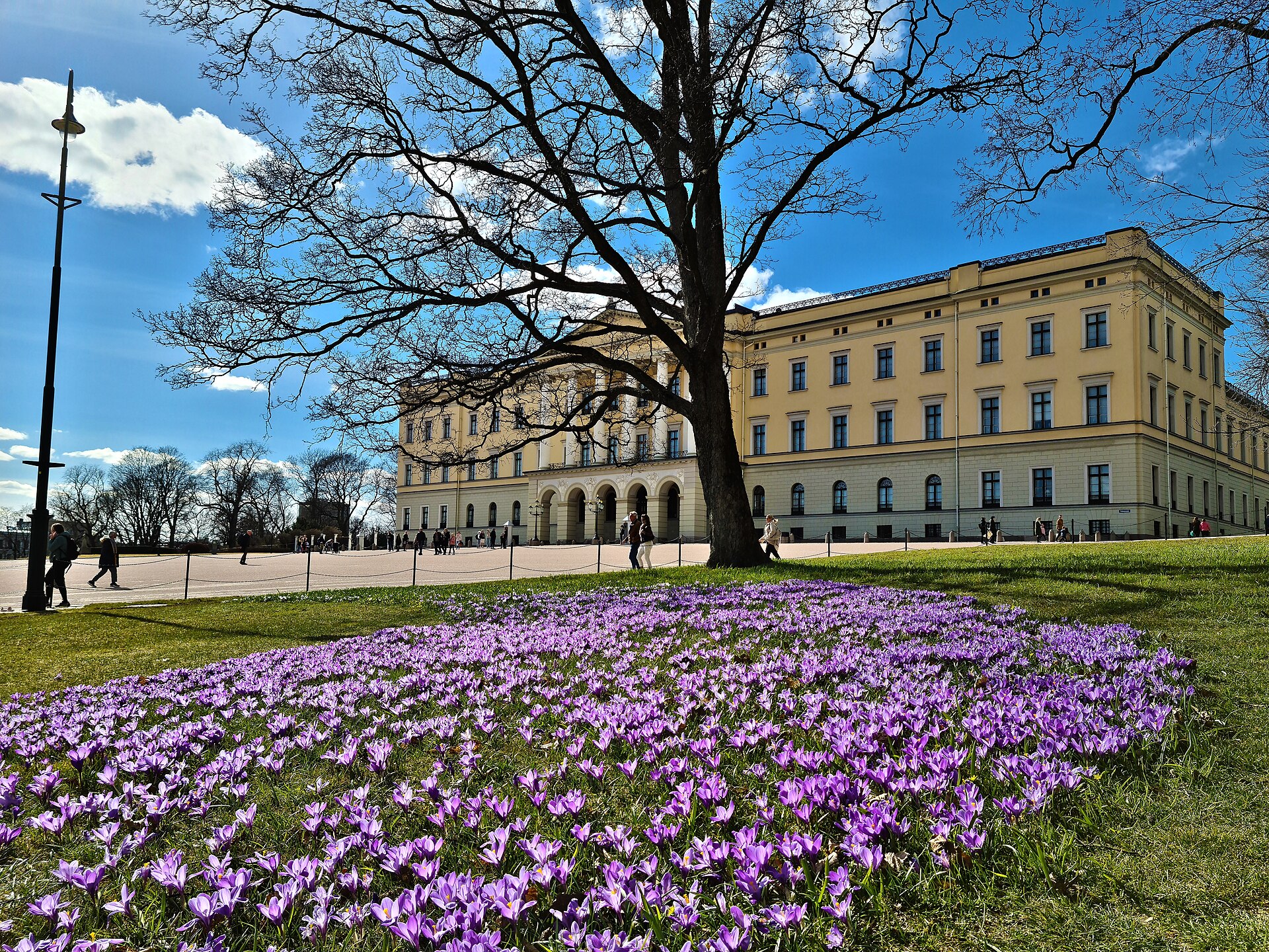 A view of the Royal Palace and its grounds