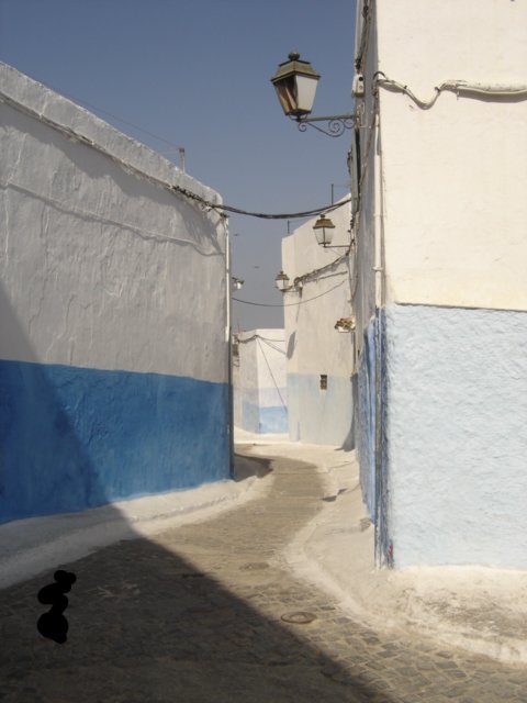 The blue-and-white lanes of the kasbah