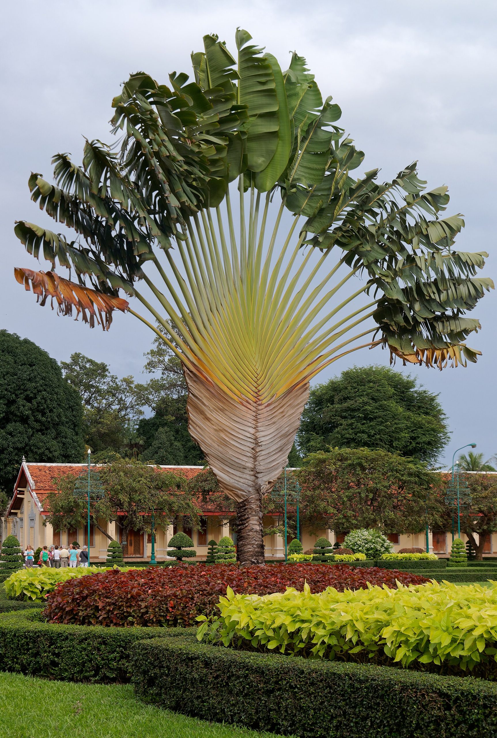 The gardens of the royal palace