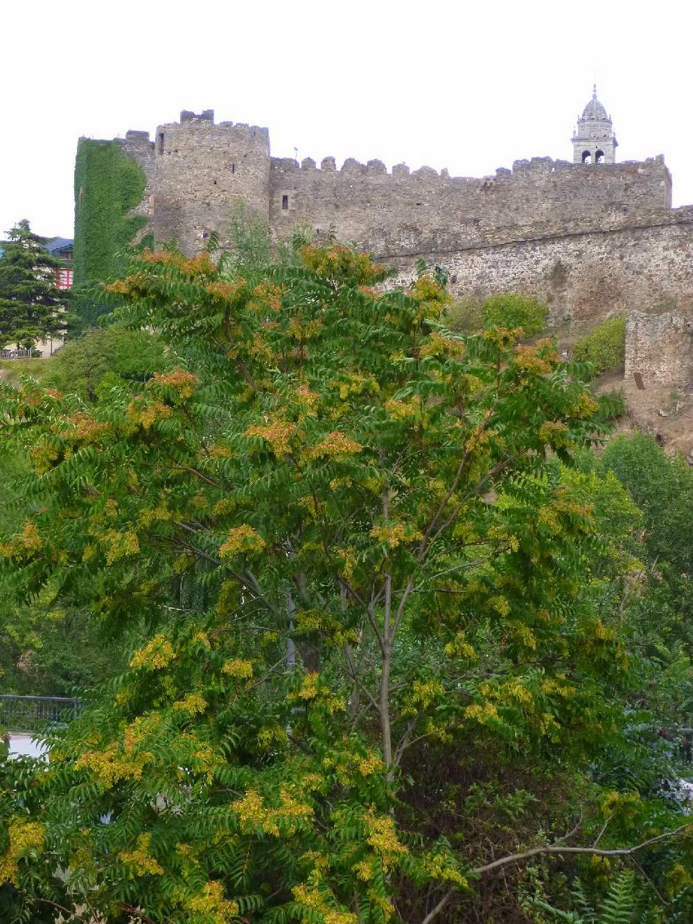 The mysterious destruction of the Templar order ended the castle's Templar age.