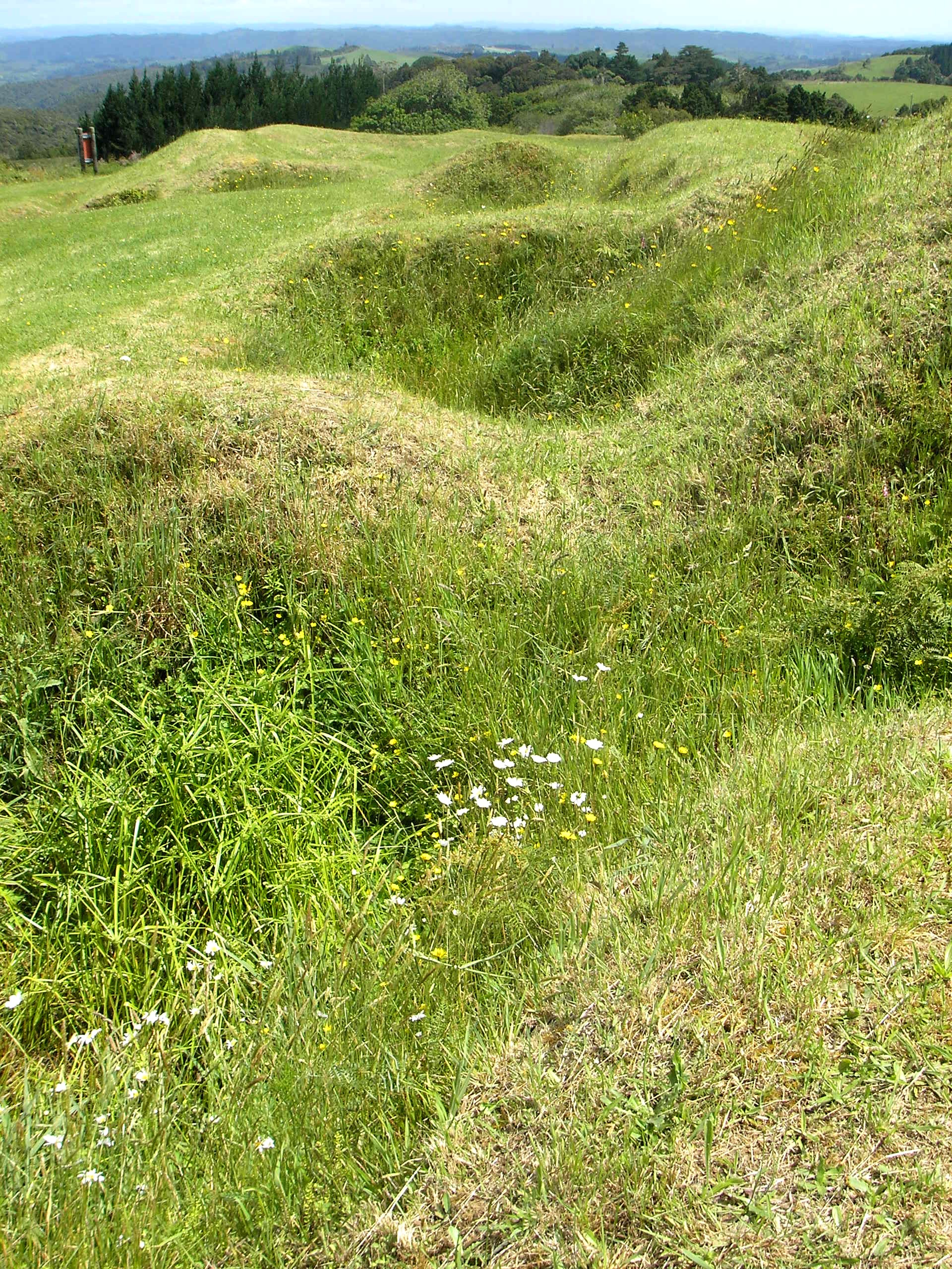 The earthworks of Ruapekapeka Pā still cross the Northland hilltop