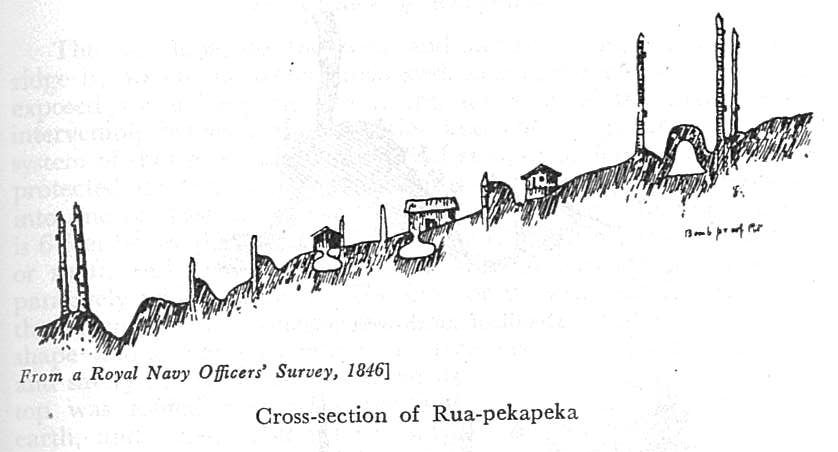 The Northern War began with Hōne Heke felling the British flagstaff