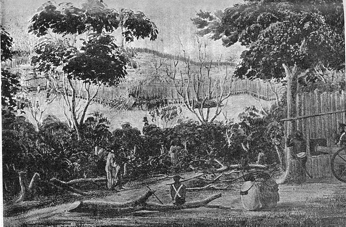 Ruapekapeka was the finest example of the gunfighter pā