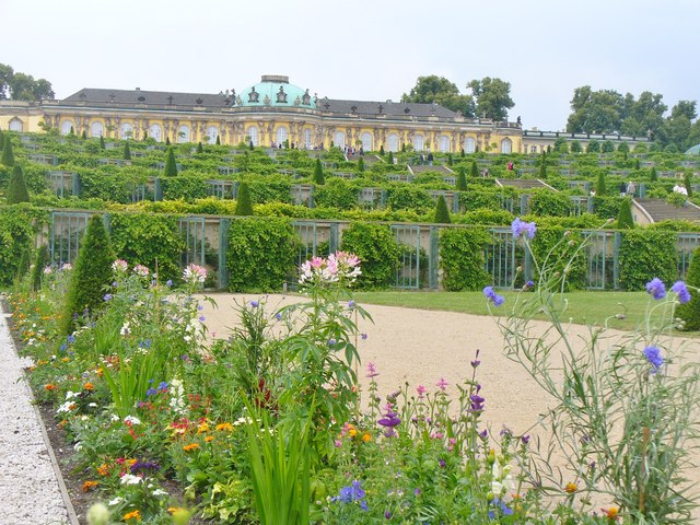 The glazed niches of the vineyard terraces, engineered to ripen vines and figs in the Brandenburg climate